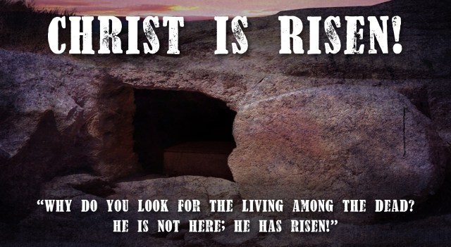 postcard-6inx11in-h-front